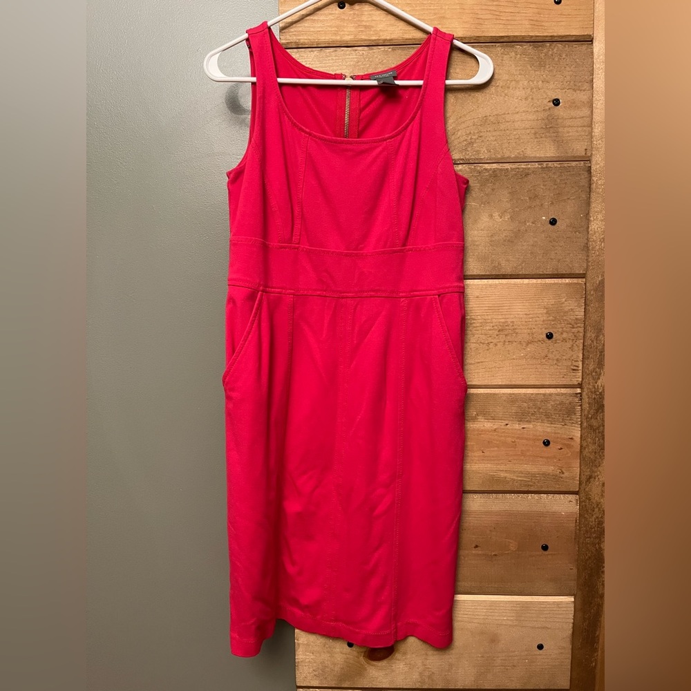 Ann Taylor Pink Sleeveless Knee Length Sheath Dress w/ Pockets and Gold Zipper
